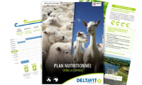 Plan_nutritionnel_ovins_caprins_Plan_nutritionnel_ovins_caprins_Deltavit_Plan_nutritionnel_ovins_caprins_Deltavit