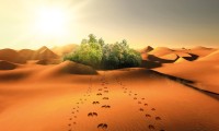desert_VISUEL_DESERT