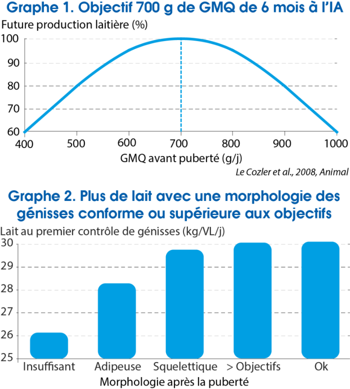 Graph rentabiliser l'elevage avec la morphologie