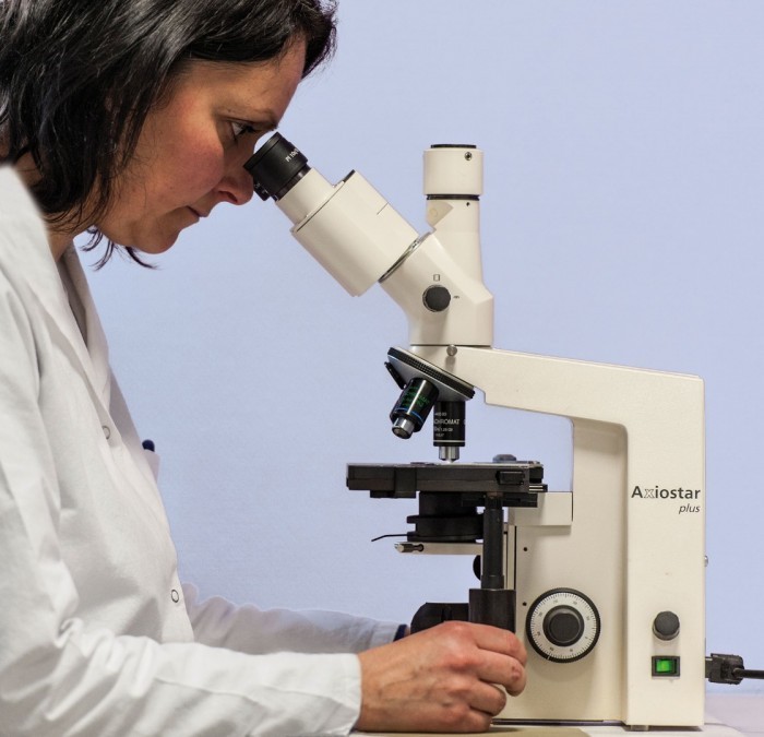 Laboratoire_groupe_ccpa_janze_35