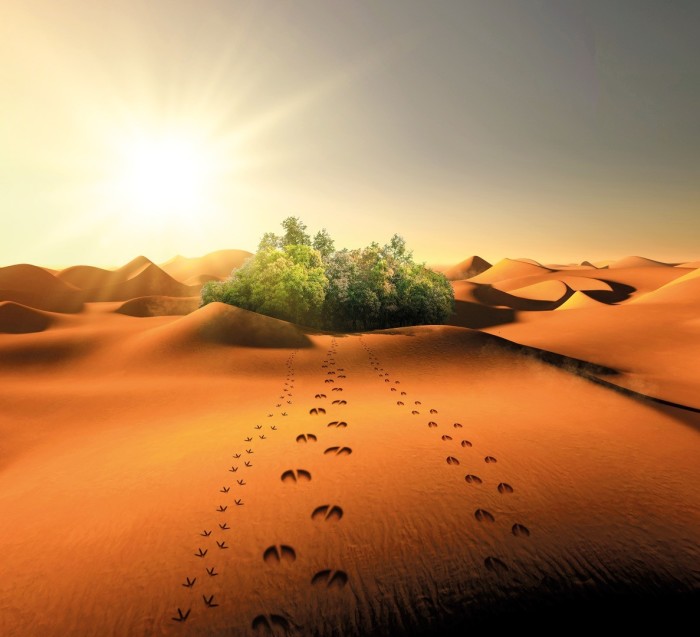 desert_VISUEL_DESERT