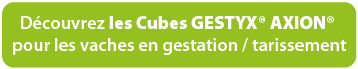 Découvrez les cubes gestyx Axion pour les vaches en gestation / Tarissement 