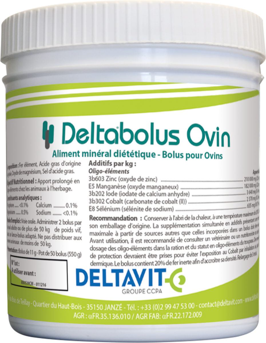 Deltabolus Ovin