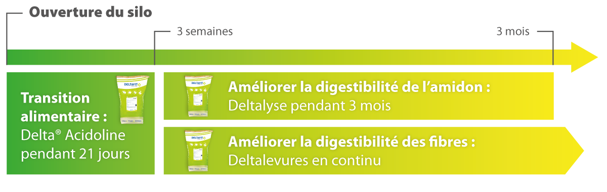 A l'ouverture du silo, utilisez Delta Acidoline, Deltalyse et Deltalevures