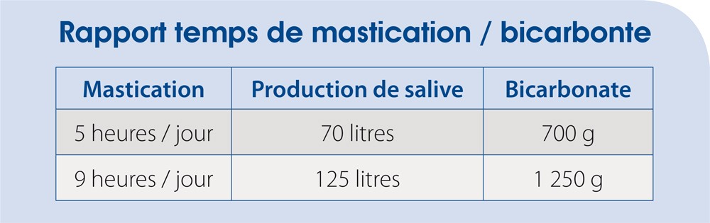 Rapport temps de mastication / bicarbonate