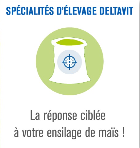 campagne mais sac et texte