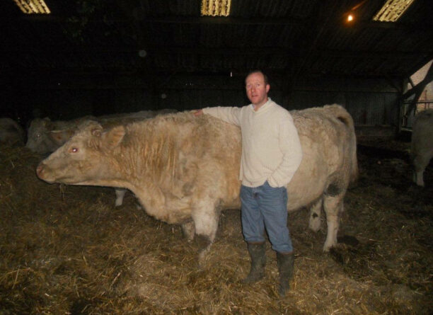 Gestyx® Axion®, le cube des vaches en gestation [Témoignage éleveur]