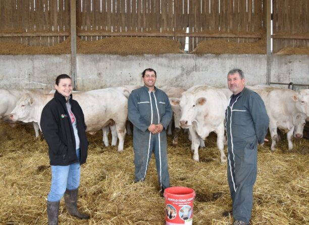 Avec Bufflo Tonic Axion®, un meilleur IVV et des veaux vigoureux ! [Témoignage éleveur]