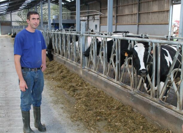 Comment améliorer le taux protéique du lait ? [Témoignage éleveur]
