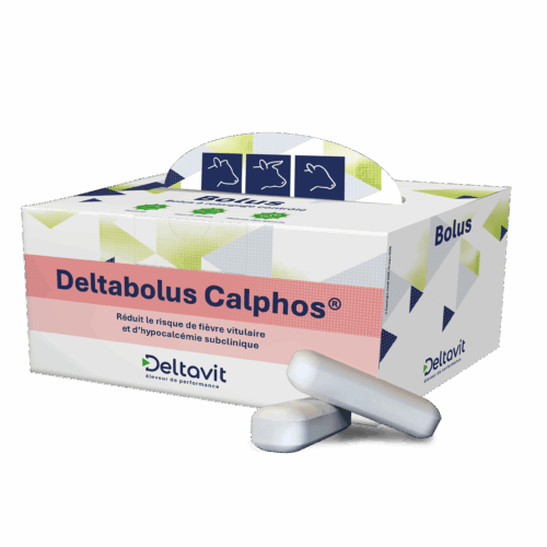 Deltabolus Calphos