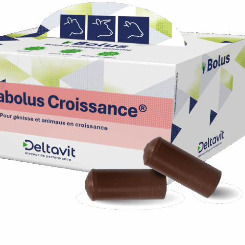 Deltabolus Croissance