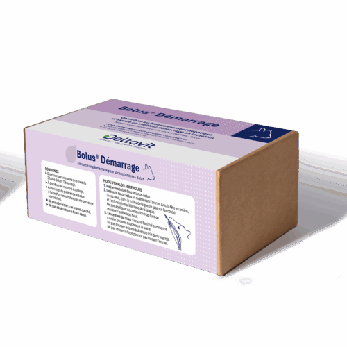 Deltabolus Démarrage