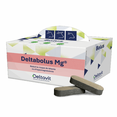 Deltabolus Mg