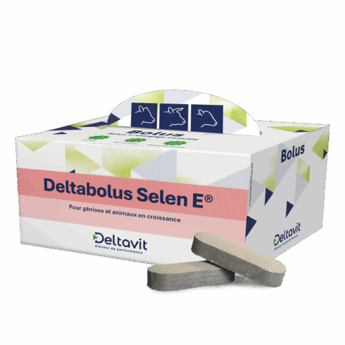 Deltabolus Selen E