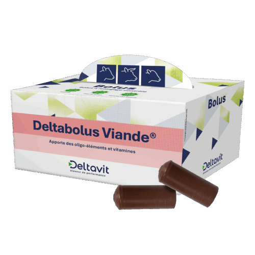 Deltabolus Viande