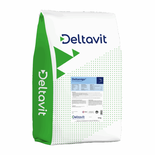 Deltamigo