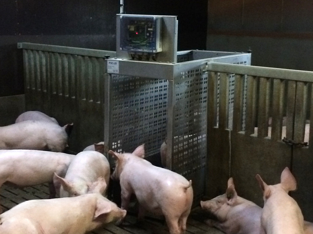 Expertise_Digitale_Deltavit