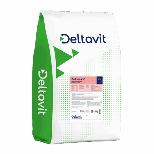 Pedisecure