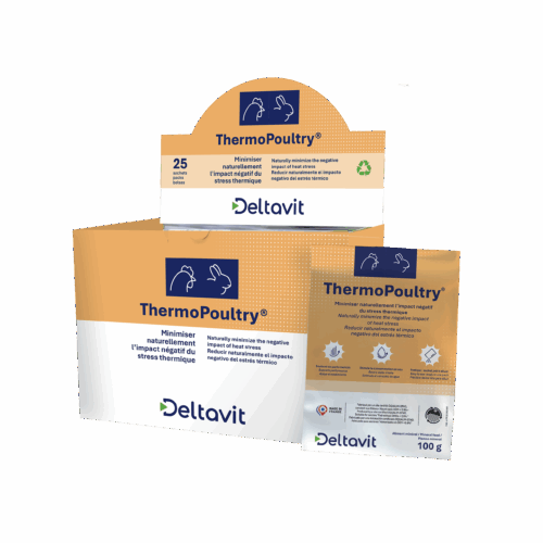 Thermo Poultry – Image 2