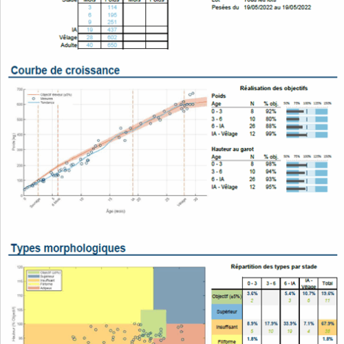Morphoscore