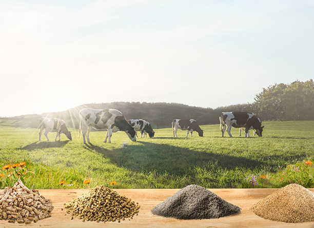 GALAPHOS®, la nutrition minérale optimisée