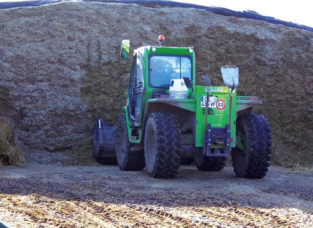 Drought: How to Deal with a Lack of Forage?