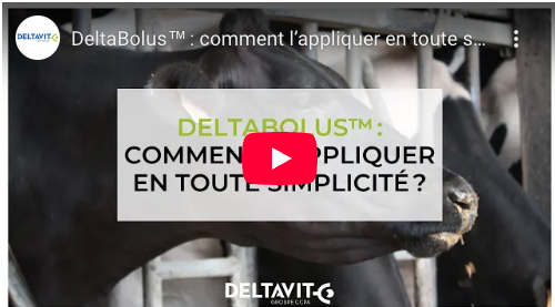 La gamme bolus Deltavit [Mode d’emploi]
