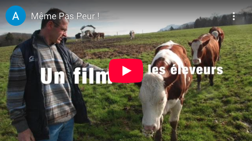 « Même Pas Peur ! » un documentaire sur les enjeux de l’installation des éleveurs laitiers